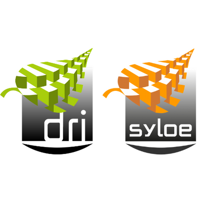 Groupe DRI-SYLOÉ