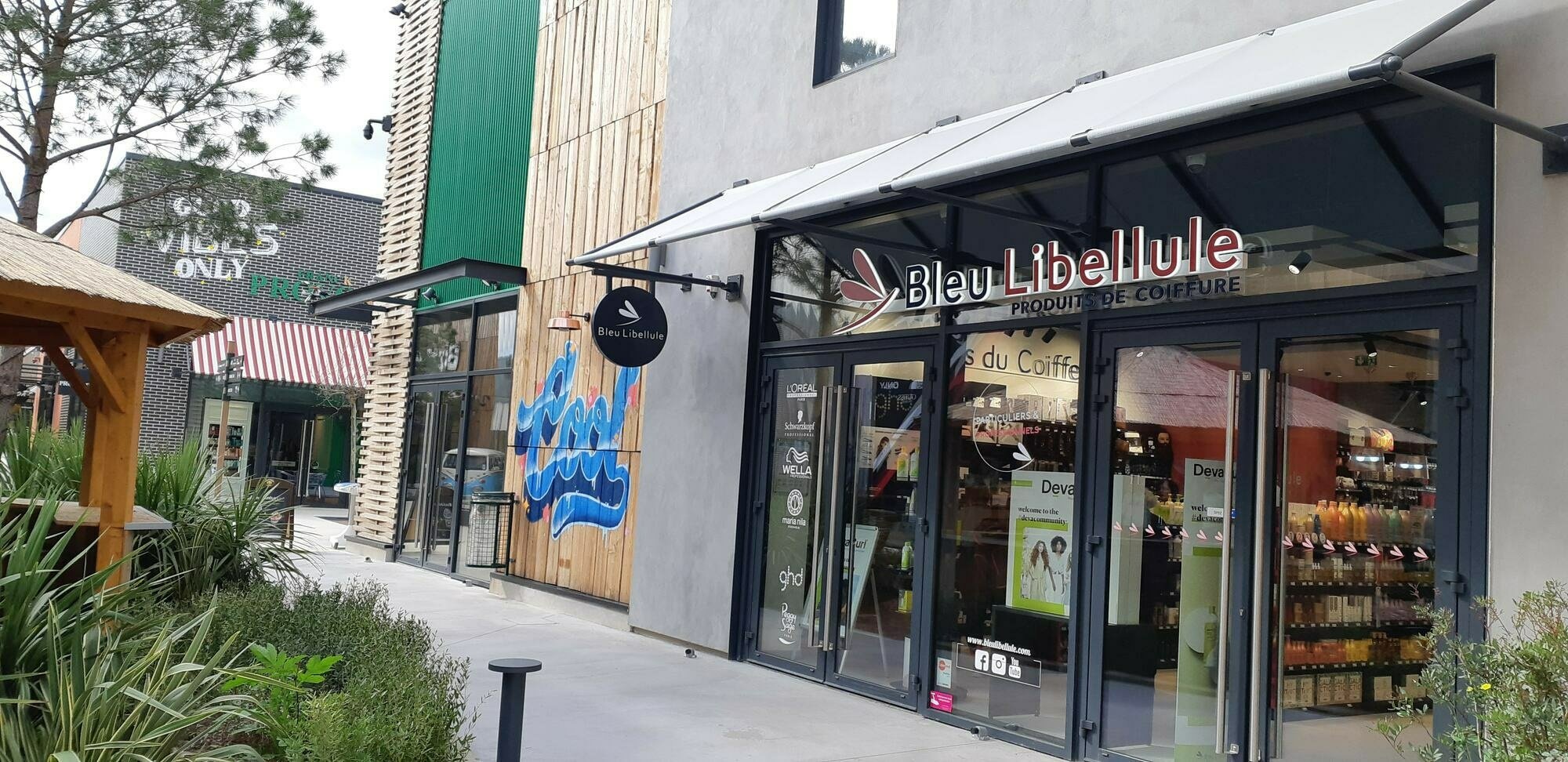 Évènements pour rencontrer les équipes de Bleu Libellule