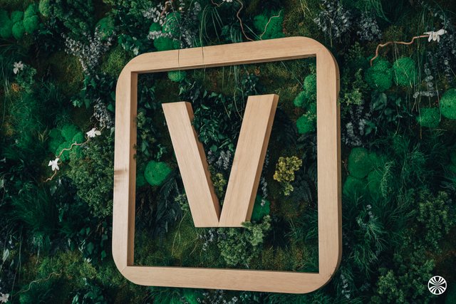 VusionGroup