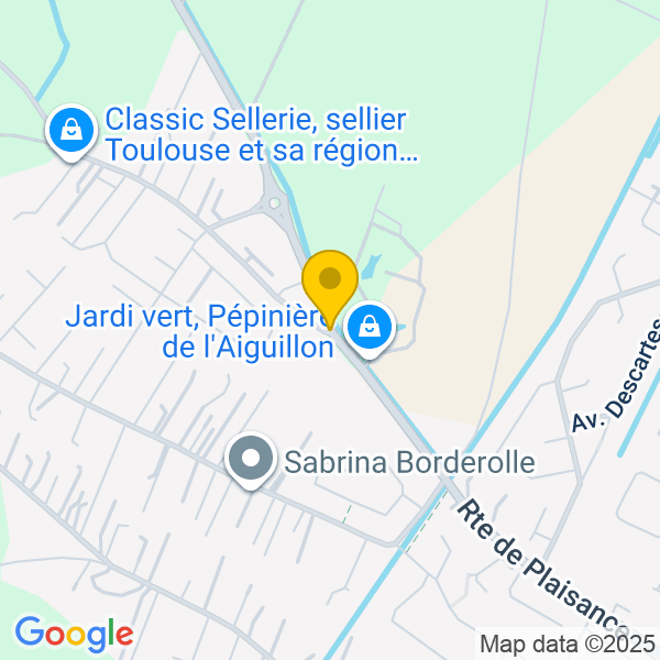 Chemin de Tréville, 31270, Frouzins