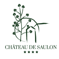 Château de Saulon