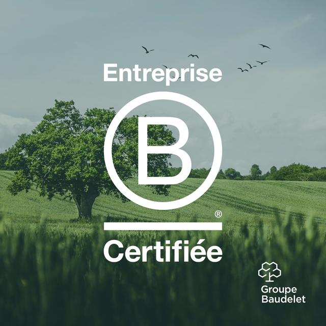 Groupe Baudelet