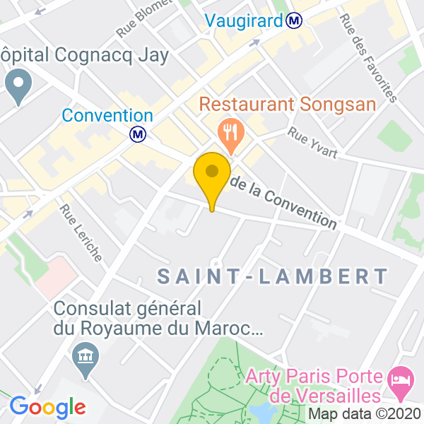 34 rue dombasle, 75015, Paris