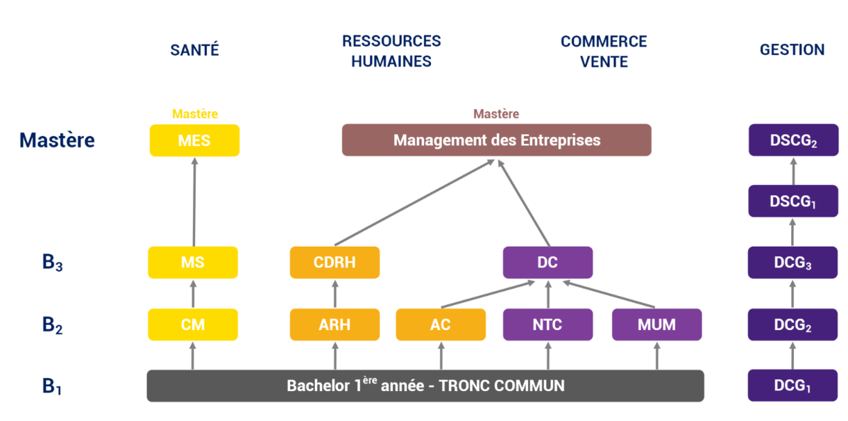 Activ Metiers