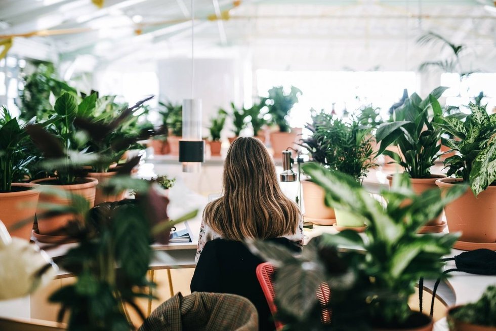 5 tips pour être « green » au bureau