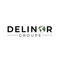 DELINOR GROUPE