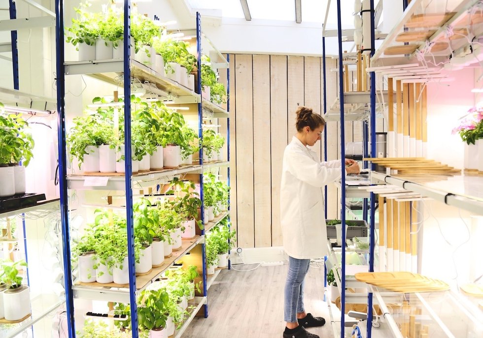 Dans les coulisses de Prêt à Pousser, la start-up du potager d