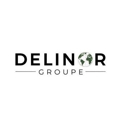 DELINOR GROUPE