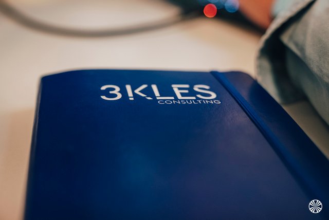 3KLES Consulting
