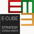 E-CUBE Strategy Consultants