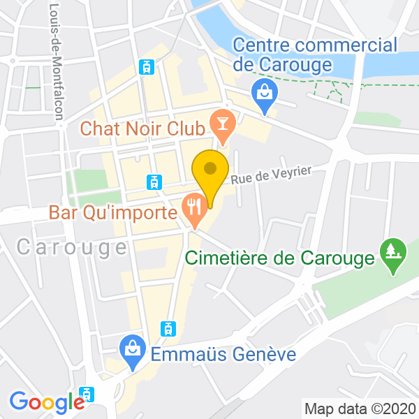 Rue Vautier 37, 1227, Genève