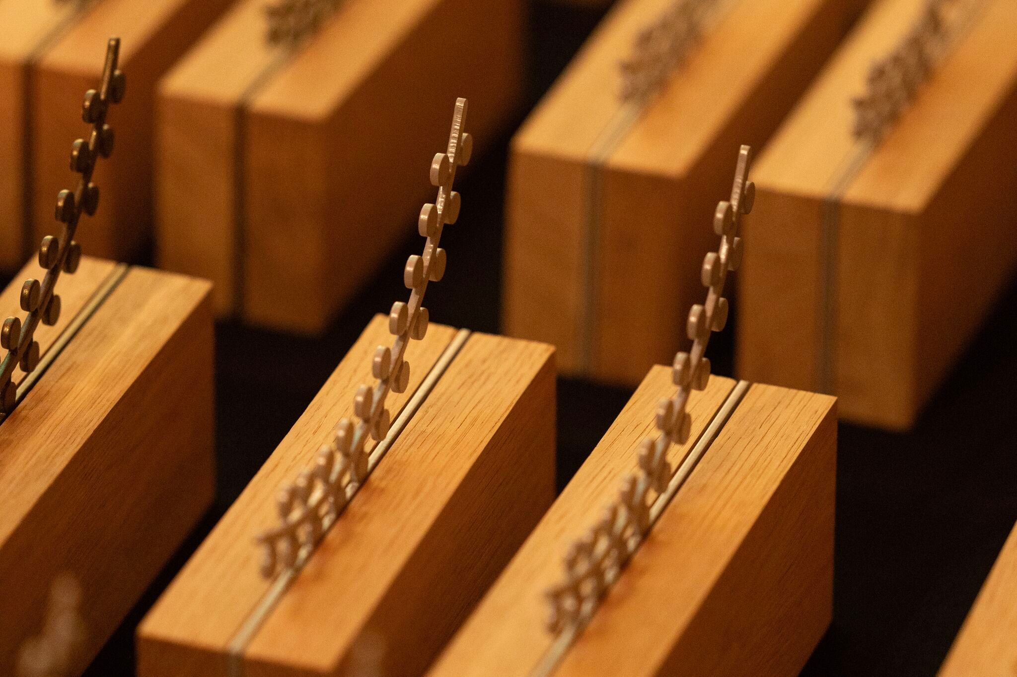 life - emprinte.jpeg