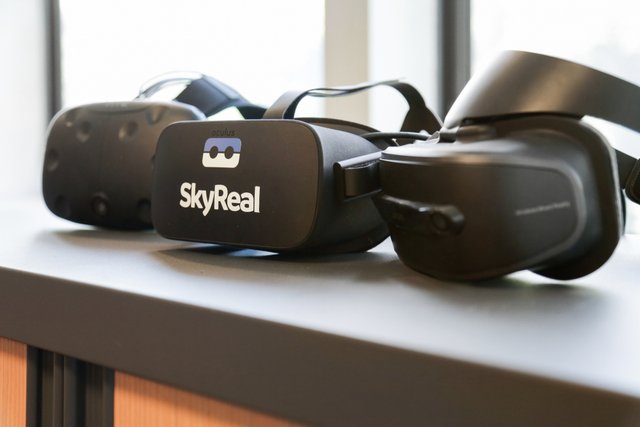 SKYREAL