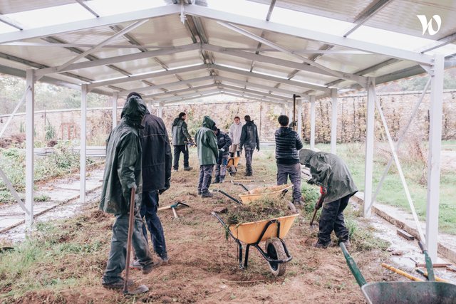 Apprentis d'Auteuil