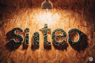 Sinteo