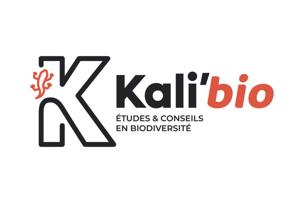   - Kali Environnement