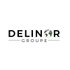 DELINOR GROUPE