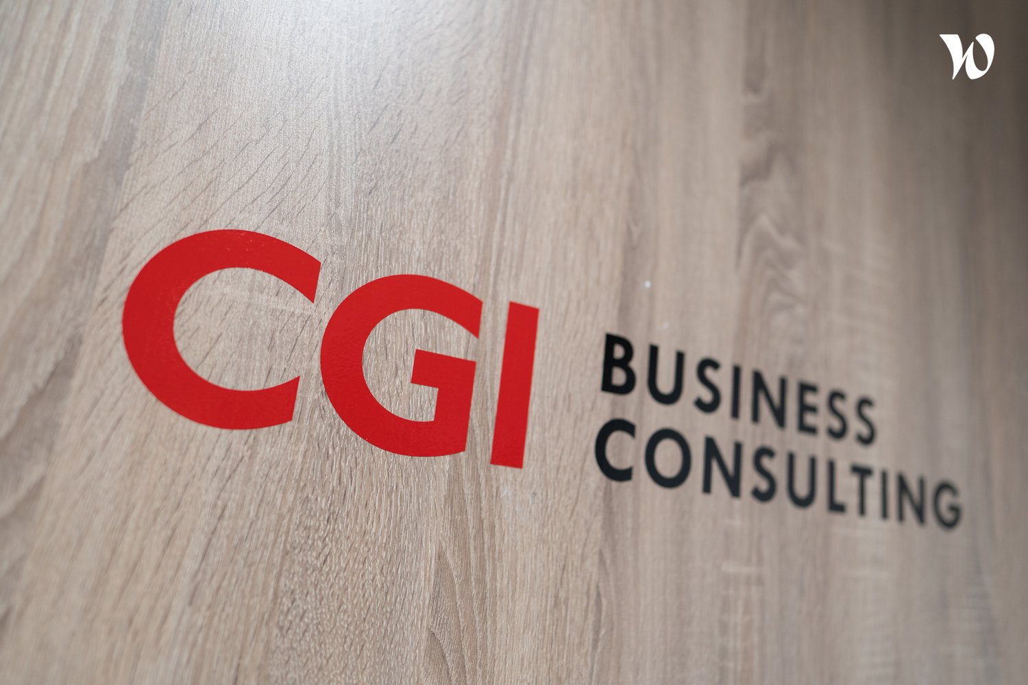 Culture+ CGI Business Consulting