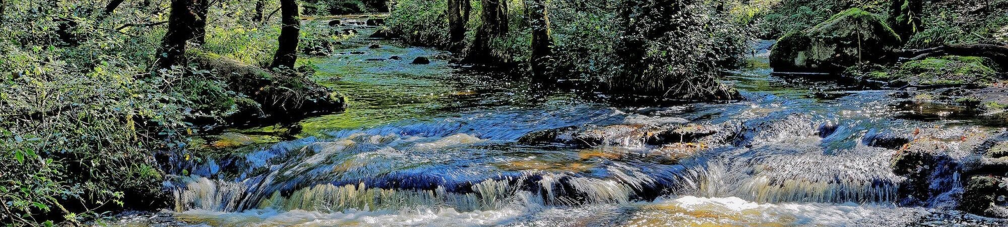 Agence de l'eau Seine-Normandie