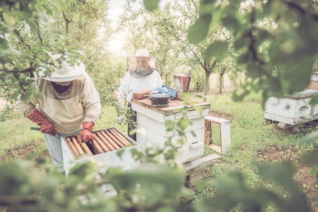 Abeille Assurances (Aéma Groupe)