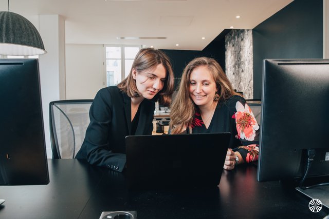 Les Nouveaux Héritiers