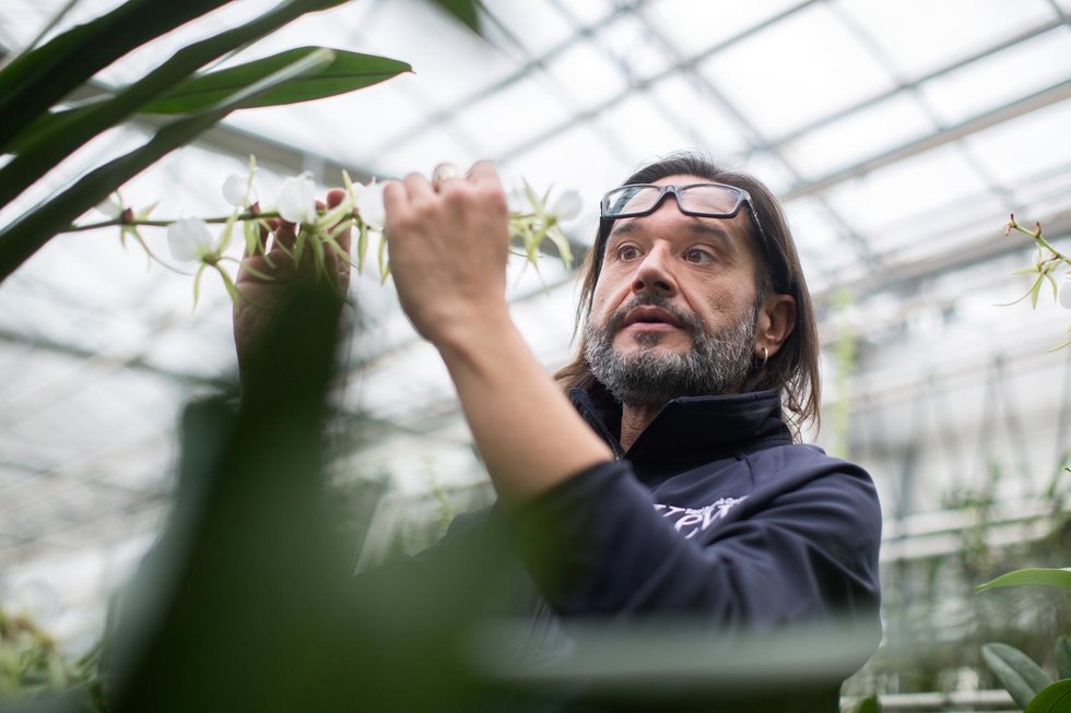 The plant messiah: meet the man on a horticultural mission