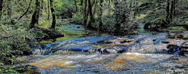 Agence de l'eau Seine-Normandie