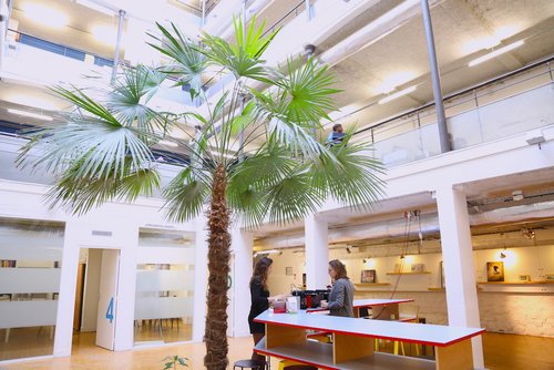 Dans les bureaux de ... Helpling : la startup qui fait briller votre intérieur !