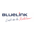 BlueLink
