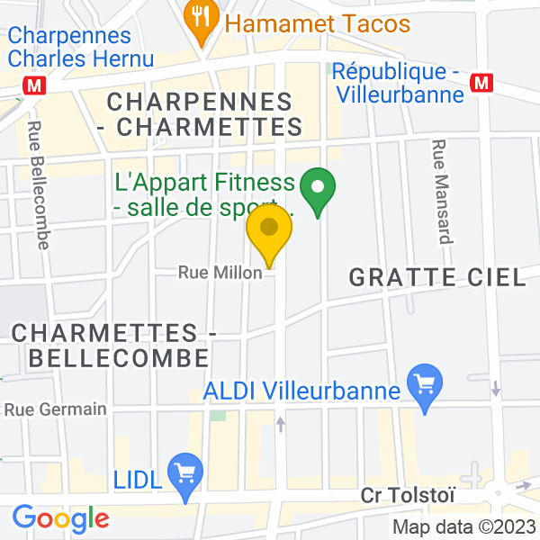 54, Rue Alexandre Boutin, Villeurbanne, 69100, Villeurbanne