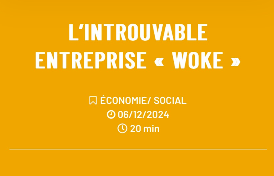 L’introuvable entreprise« woke »