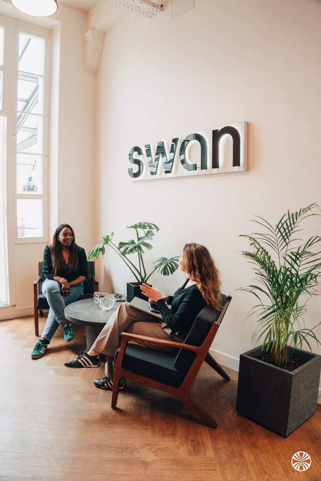 Swan