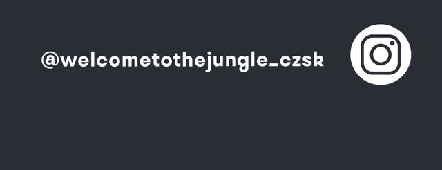   - Welcome to the Jungle CZ & SK