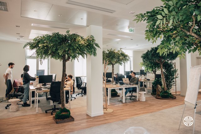 Pearltrees