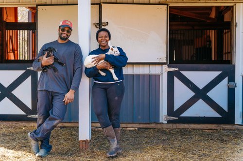 Farming for social justice: the story of the Black Yard Farm Collective