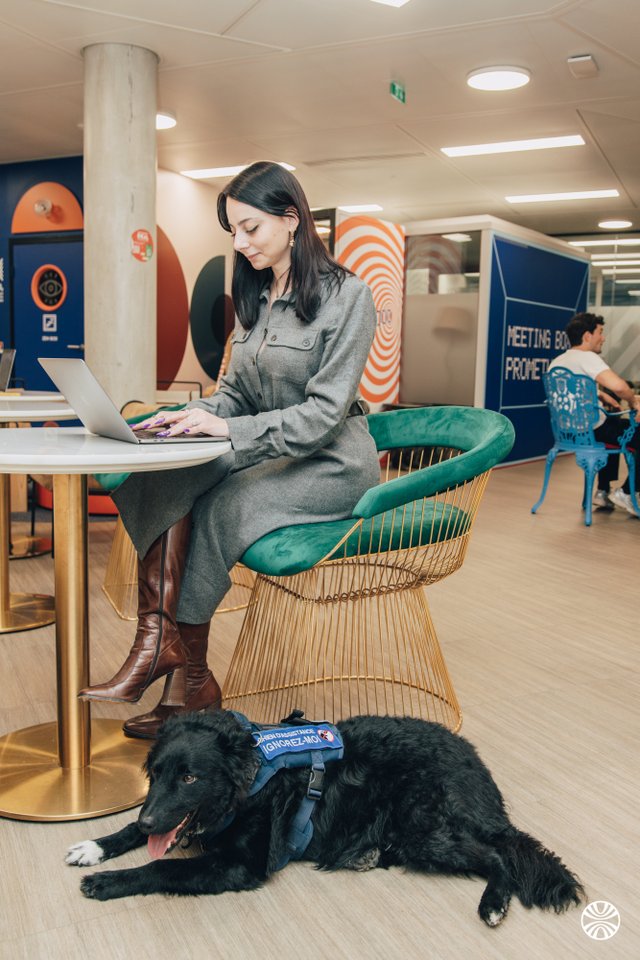 vialytics FRANCE SAS