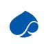 Capgemini