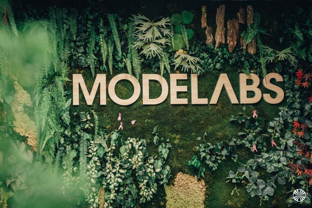 MODELABS