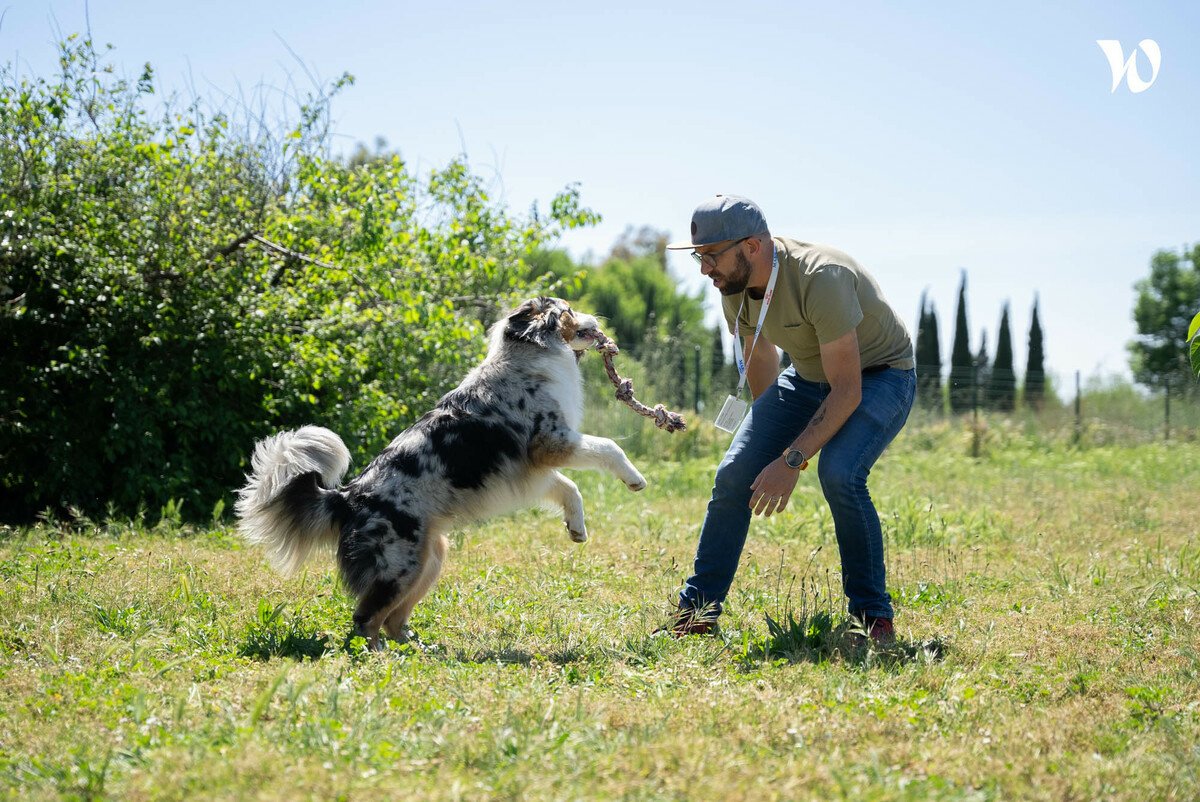 Découvrez la culture d’entreprise chez Mars – Royal Canin - MARS