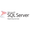 SQL Server Reporting Services (SSRS)